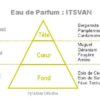 ITSVAN / Deck N°6