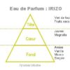 IRIZO
